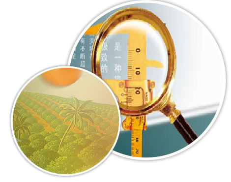 ��ȫ����