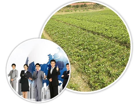 ���ʷ���