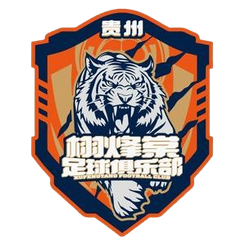 贵州栩烽棠 vs 渭南西北青年人