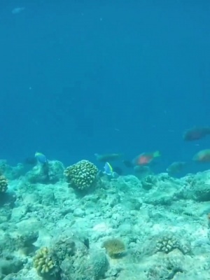狂飙！佩德里海岛狂欢，骑车潜水一应俱全