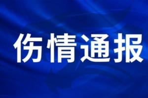 王毅右膝外侧副韧带受损,陈哲超腓骨肌腱及外踝韧带受伤