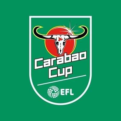 我想看看世界杯