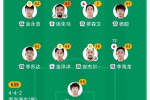 海牛安杰尔科维奇、金洋洋、金永浩均累积4黄，下轮对阵河南队将停赛