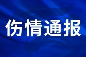 刘奕鸣在训练中手掌骨折，手术顺利进行