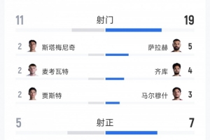 埃及1-3新西兰全场数据：射门12-19，射正5-7，得分机会3-5