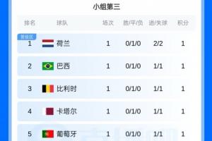 前八位晋级!小组第三名:荷兰、巴西、比利时、葡萄牙、西班牙位列前八