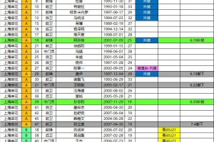 申花2026中超夏季转会期报名名单：取消盖伊等4人报名，新增阿苏埃、李松益