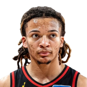 弗莱明斯
